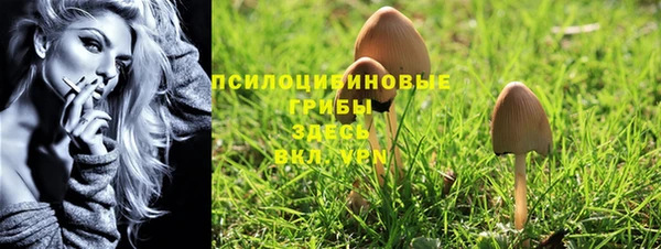 ешки Каменск-Шахтинский