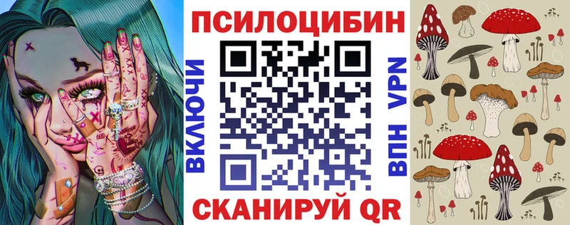 Псилоцибиновые грибы Cubensis  Ангарск 